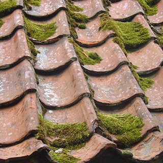 Démoussage et nettoyage de toiture à Rosny-sous-Bois (93110) - MFL Couverture en Seine-Saint-Denis (93)